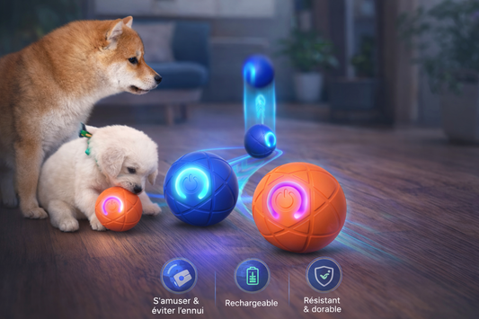 Balle interactive PawPure