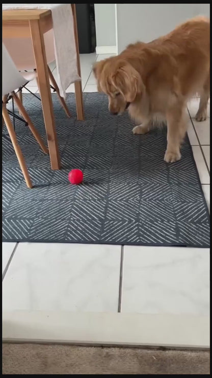 Balle interactive PawPure