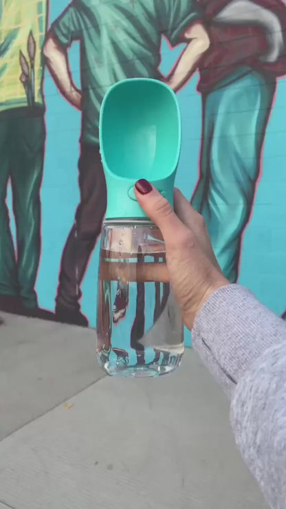 Gourde PawPure pour chien